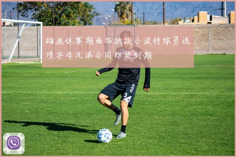 雄鹿休赛期面临挑战小波特球员选项字母兄弟合同即将到期