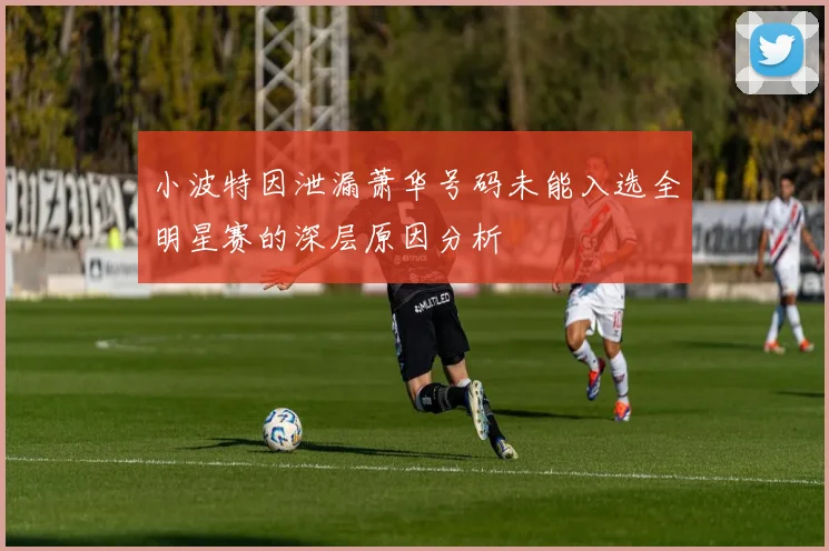 小波特因泄漏萧华号码未能入选全明星赛的深层原因分析