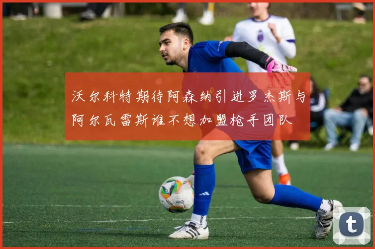 沃尔科特期待阿森纳引进罗杰斯与阿尔瓦雷斯谁不想加盟枪手团队