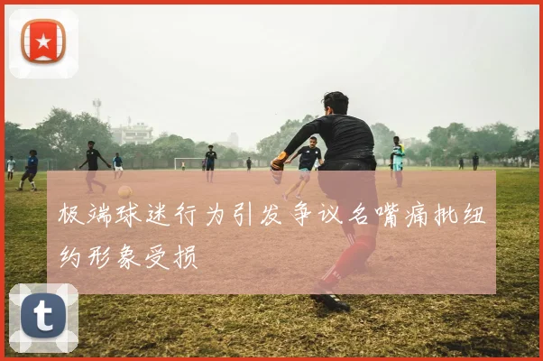 极端球迷行为引发争议名嘴痛批纽约形象受损